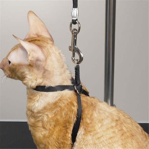 Petpath Adj Nylon Grmg Cat Harness 40 In PE1667407